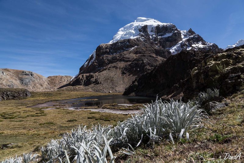 Peru_2017-208.jpg