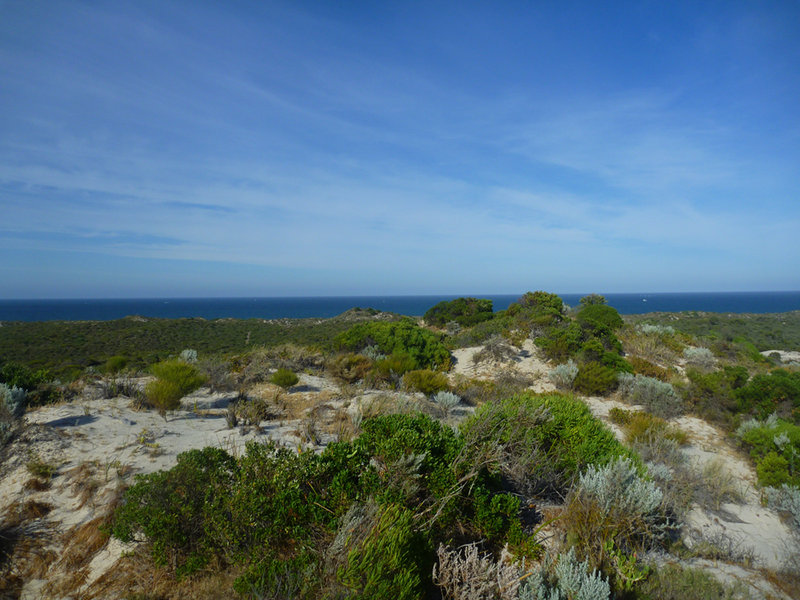 Highest Dune looking to coast.jpg