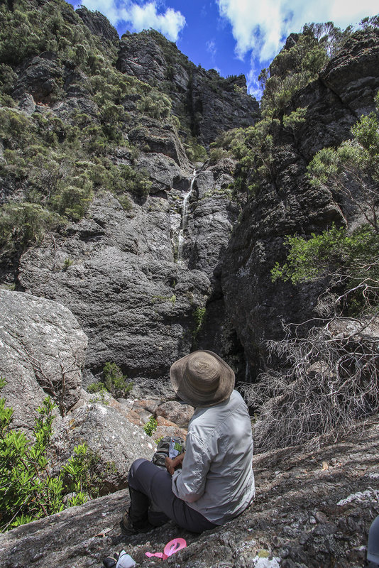 Lunch at the Lower Falls.JPG