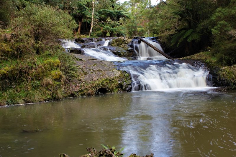 Morwell River Falls Middle and Lower.jpg