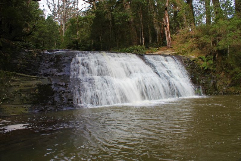 Morwell River Falls Upper.jpg