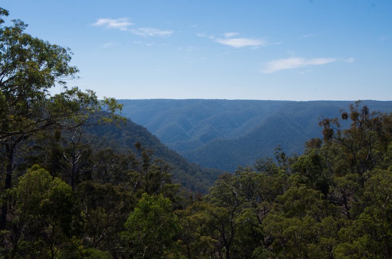 Shoalhaven Gorge.jpg