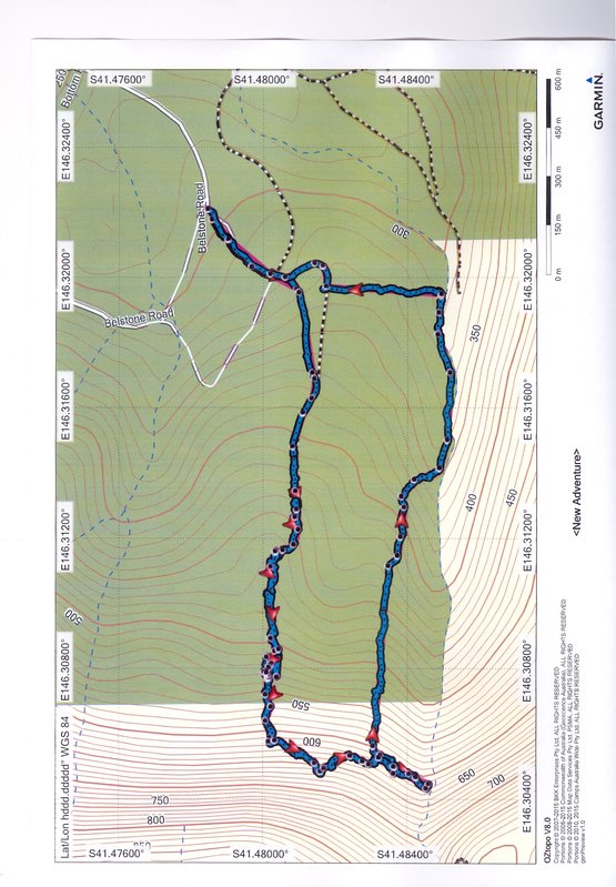 Minnow Falls-Old and new tracks loop.jpg