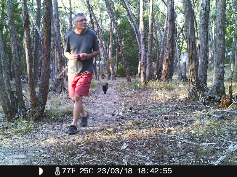 Trail-cam-me-s.jpg