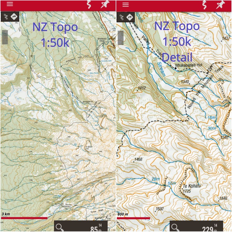 nztopo 1-50k_wm (Medium).jpg