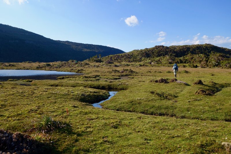 Pigsty Ponds.jpg