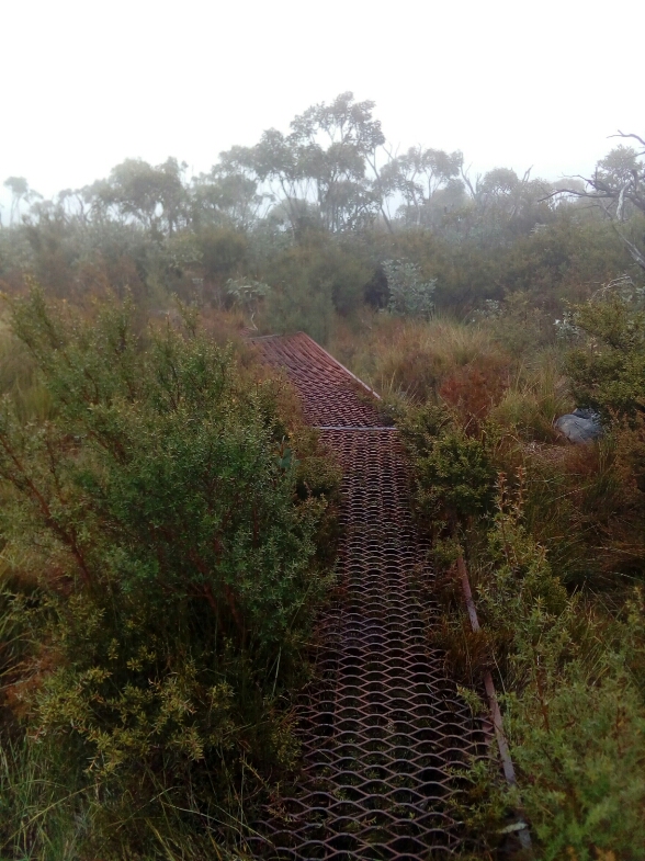 Old boardwalk.jpg