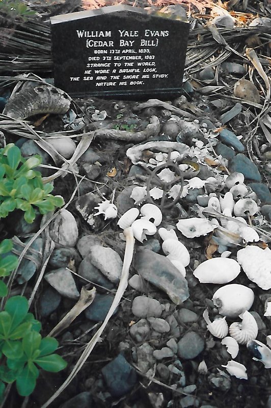 Cedar Bay Bill grave.jpg