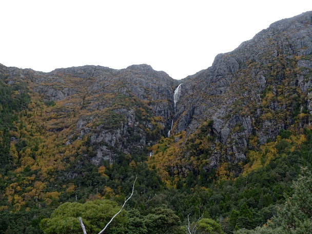 2019-05-04 Cradle Mountain 163a - Plateau Creek waterfall into Ballroom Forest and Dove Lake.JPG
