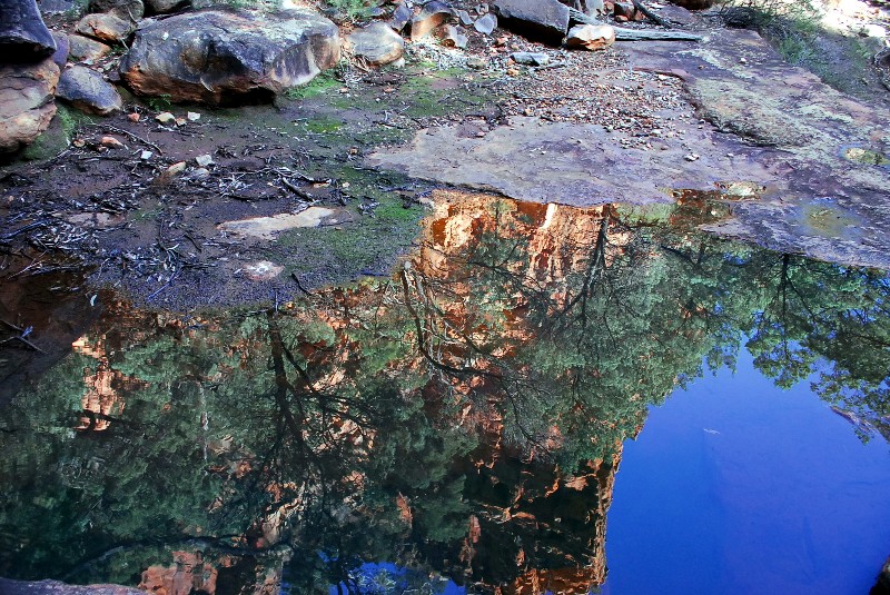 The trip - Flinders Ranges - Malloga Falls Hike 191 sp.jpgsm.jpg