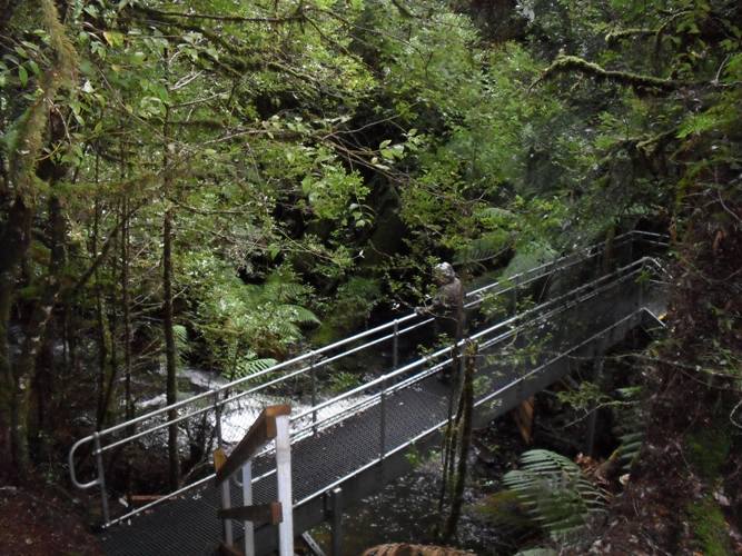 Toni on the foot bridge.JPG