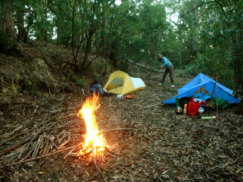 Grasstree ridge camp.jpg