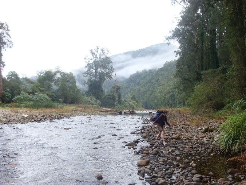 Upper Bellinger crossing.jpg