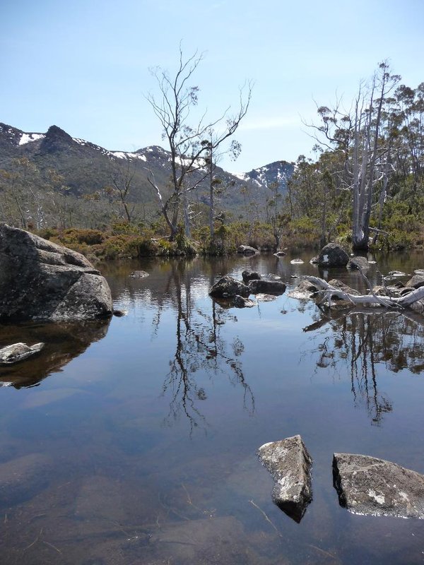 Tarn at Lake Belton.JPG