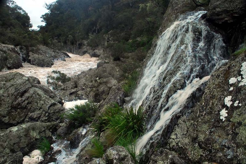 Armidale - Wollomombi Falls 102.jpg