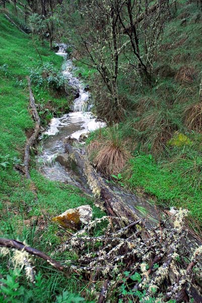 Armidale - Wollomombi Falls 126.jpg