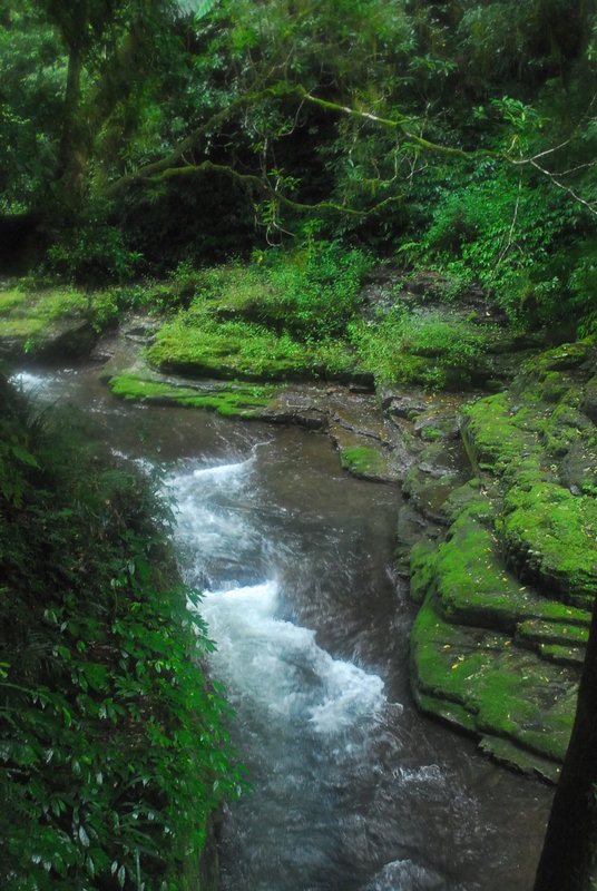 Barrington Tops - Rocky Crossing (98).jpg