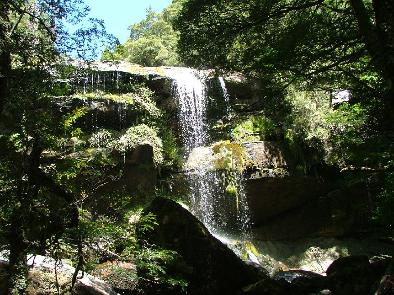 DSCF0783.JPG