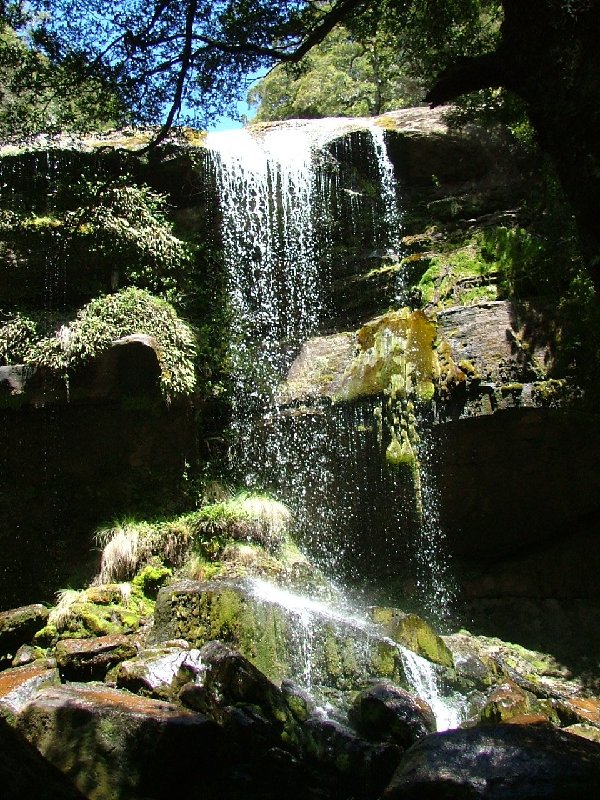Dscf0784.jpg