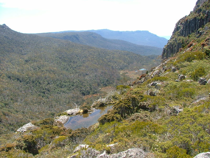 DSCF0796.JPG