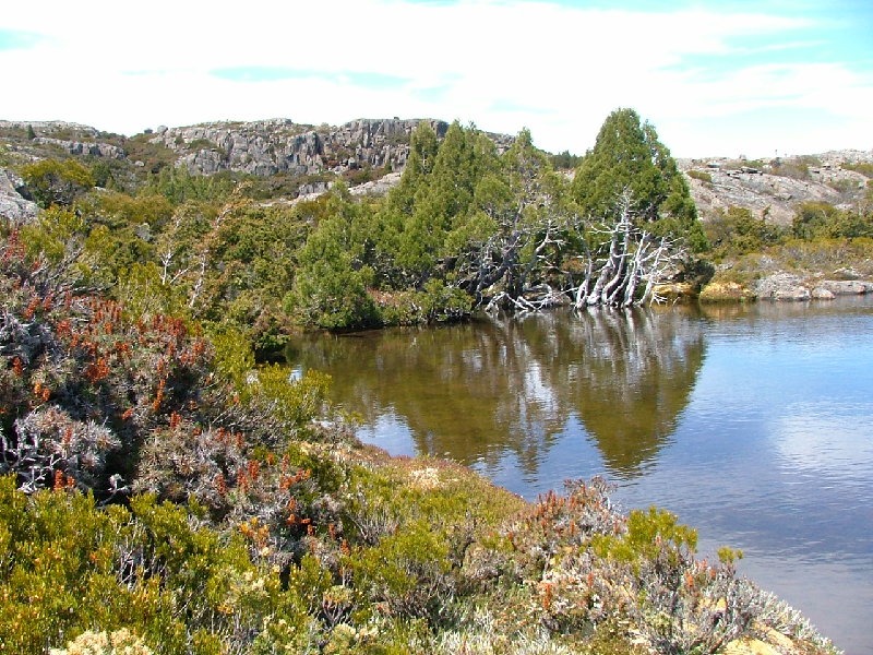 DSCF0799.JPG