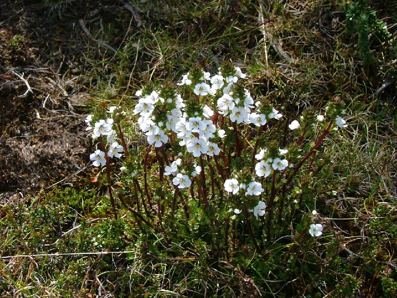 DSCF0800.JPG