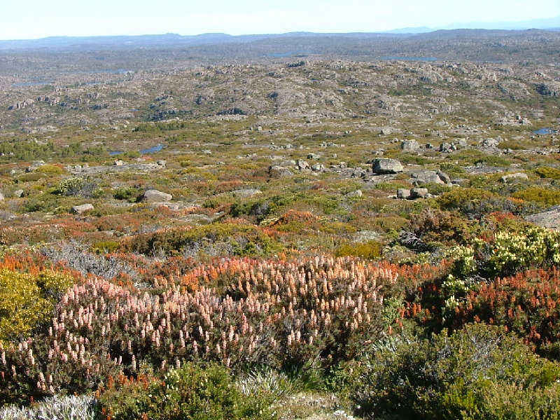 DSCF0821.JPG