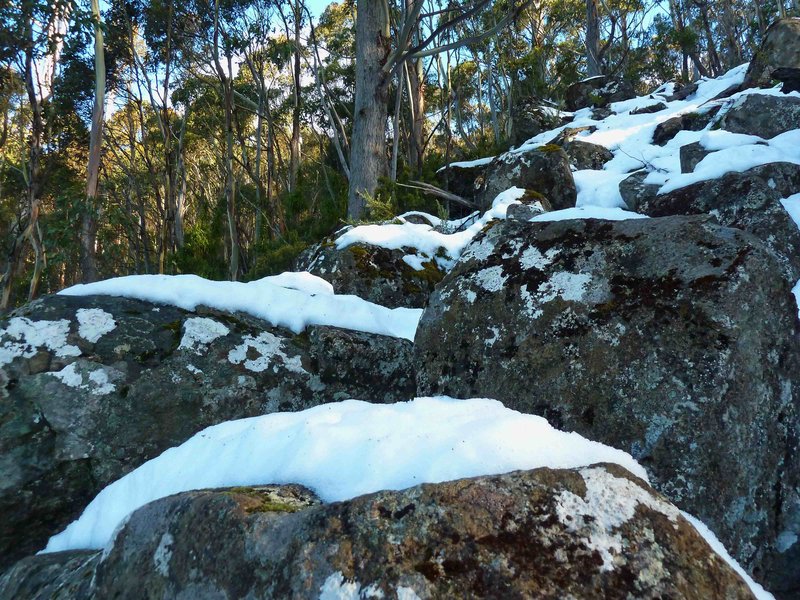 P1020446.jpg