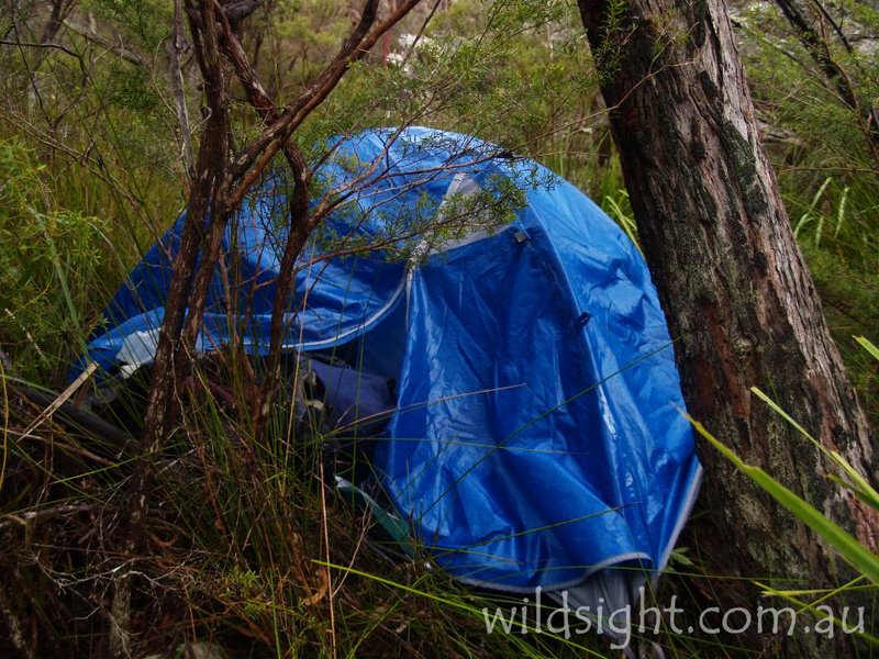 w-tent.jpg