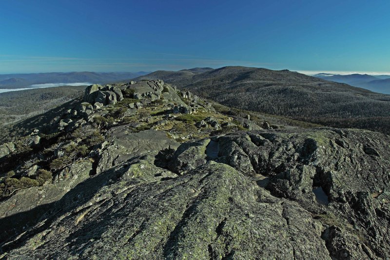 b007972c.jpg