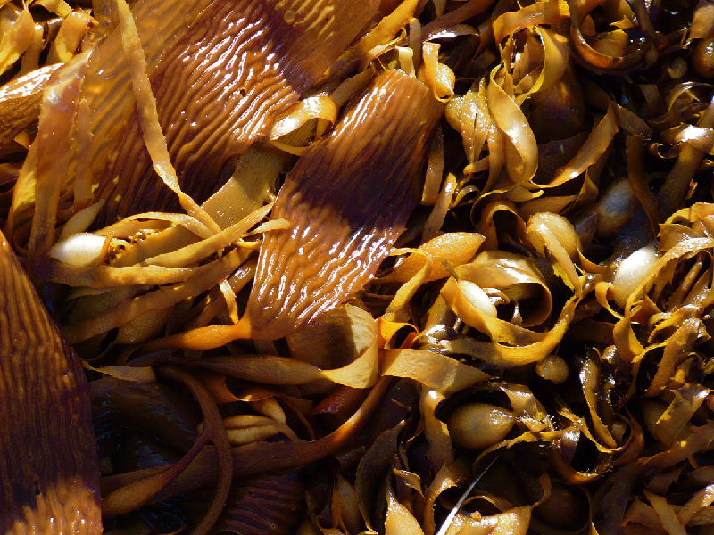 P1040943.JPG