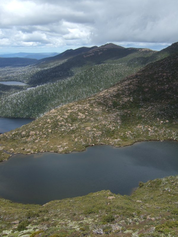 DSCF9250.JPG