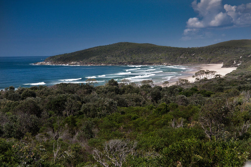 Angourie-back-beach.jpg