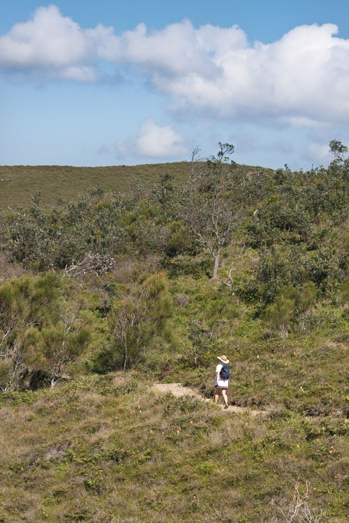 Enroute to Shelley Beach.jpg