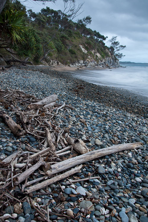 driftwood-&-pebbly-beach.jpg