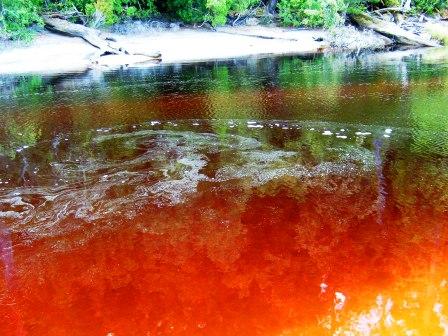 rivulet.JPG
