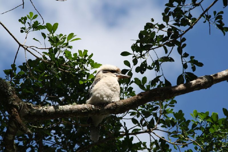 IMG_0367_small.jpg