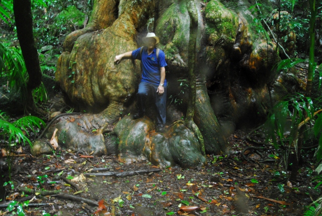 Lamington 2012 200 (640x430).jpg