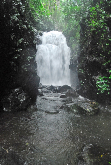 Lamington - Tollerigumai or Boxlog Falls (2) (430x640).jpg