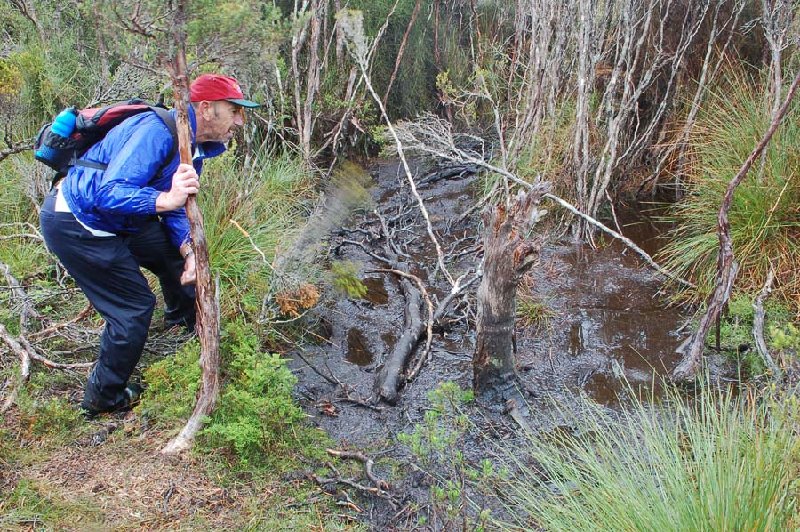 Tassie 11th Lake Judd track - so called!.jpg