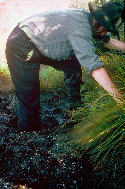 Ian in bog Frenchmans 1971.jpg