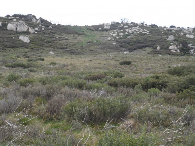 32 Old Strumbo firetrail on the Grey Mare range sm.JPG