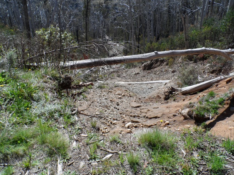 55 Landslip on Snakey Plain firetrail sm.JPG