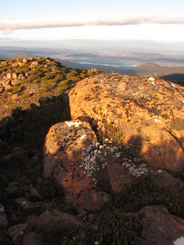 aCollins Bonnet Dec 2012 016.jpg