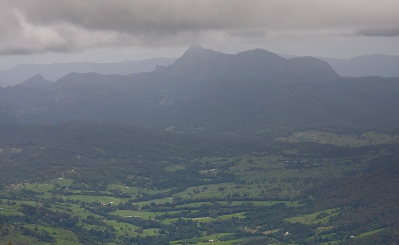 8 - wollumbin from nyamulli lookout.jpg