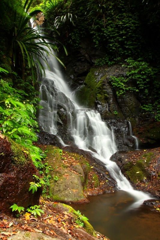 013 Elabana Falls.JPG