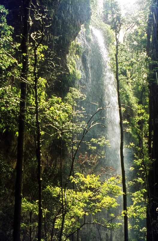 Bushrangers Cave_05.jpg