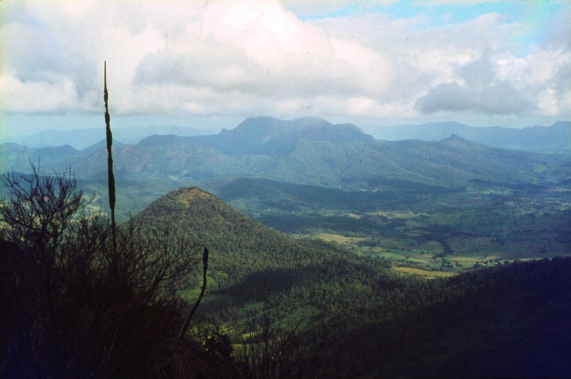 Bushrangers Cave_08.jpg