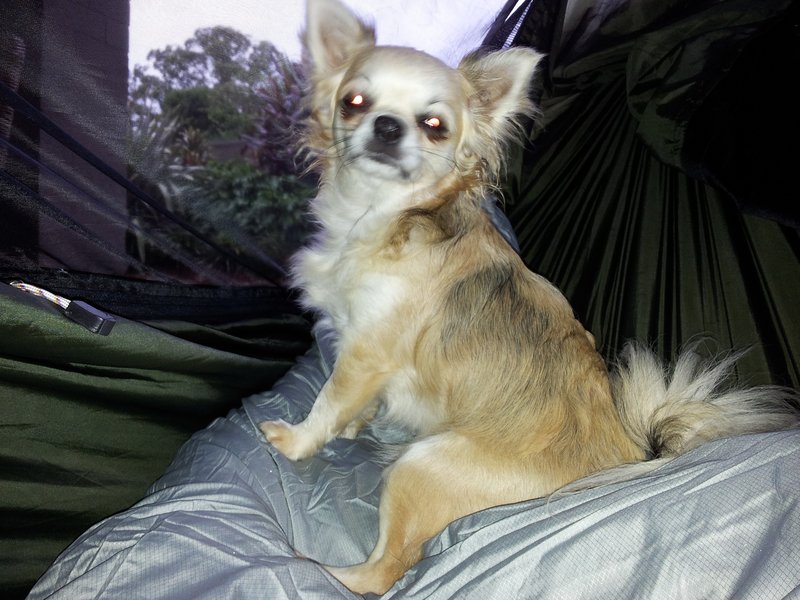 20130410_165036.jpg