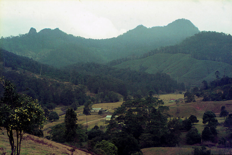 Mt Cougal & Boyds Butte.jpg